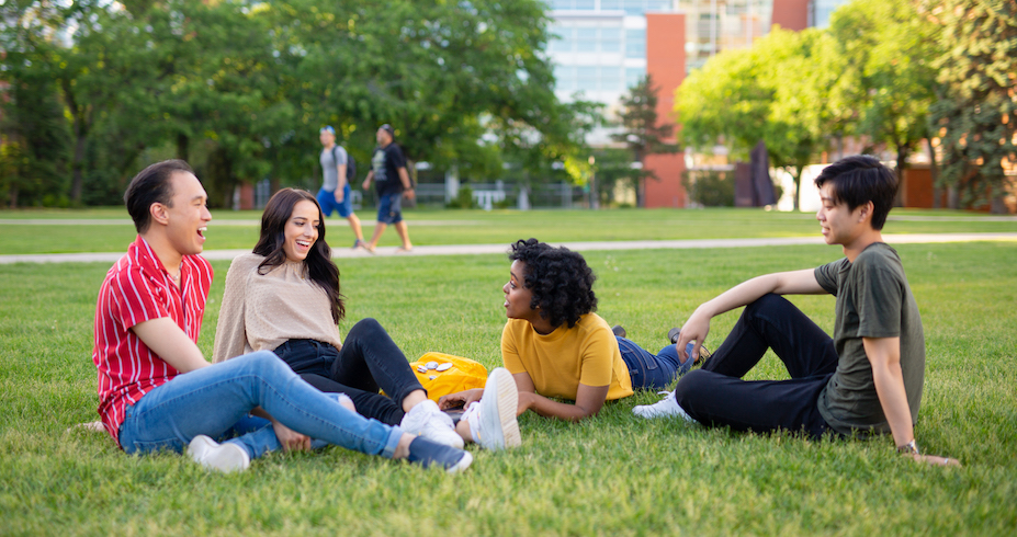 University of Alberta - Yield Branding - Yield Branding - Side Image